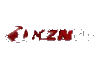 SA|  1 KZN HD