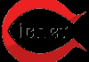 IR| ICNET 2