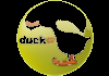 BG| DUCK TV