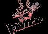BG| THE VOICE