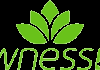 BG| WNESSTV
