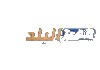 AR| MISR ELBALD