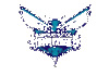 NBA TEAM| CHARLOTTE HORNETS