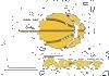 NBA TEAM| INDIANA PACERS