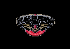 NBA TEAM| NEW ORLEANS PELICANS