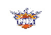 NBA TEAM| PHOENIX SUNS