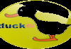 PL| DUCK TV HD