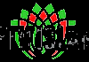 ALB| RTV ISLAM