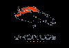 NFL TEAMS| CBS BRONCOS DENVER CO