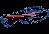 NFL TEAMS| BUFFALO BILLS
