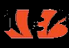 NFL TEAMS| CBS BENGALS CINCINNATI OH
