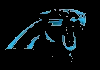 NFL TEAMS| CBS PANTHERS CHARLOTTE NC