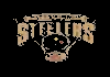 NFL TEAMS| CBS STEELERS PITTSBURGH PA