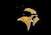 NFL TEAMS| FOX VIKINGS MINNEAPOLIS MN