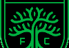 MLS Austin FC