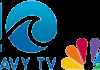 US| NBC 10 PORTSMOUTH VA (WAVY)