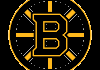 NHL TEAM| BOSTON BRUINS