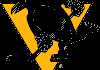 NHL TEAM| PITTSBURGH PENGUINS