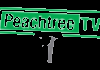 CA| PEACH TREE HD