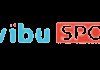 TR| TIVIBUSPOR  4K