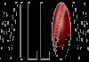 CA| WILLOW CRICKET HD