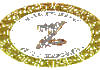 AFG| ZARIN TV