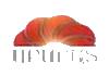 ARM| ARARAT HD