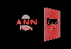 IN-NEWS| ANN NEWS