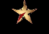 TAMIL| VIJAY SUPER