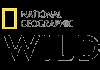 PL-VIP| NATIONAL GEOGRAPHIC WILD RAW
