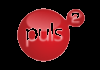 PL-VIP| PULS 2 RAW