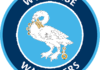 LEAGUE ONE| WYCOMBE WANDERERS