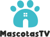M+| MASCOTAS TV ᴿᴬᵂ