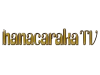 V+| HANACARAKA TV