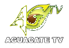 VZ| AGUACATE TV