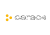 SW| CARAC 4