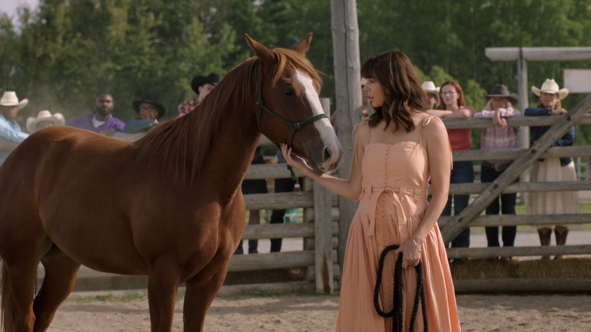 EN - Heartland (2007)