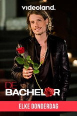 NL - DE BACHELOR