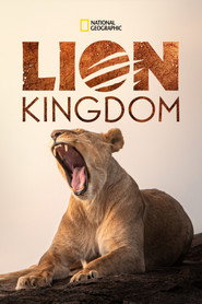 EN - Lion Kingdom (2017)