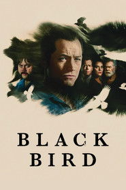 [SE] Black Bird