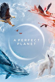 EN - A Perfect Planet (2021)