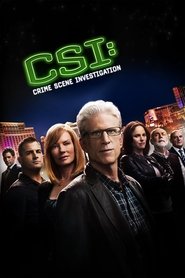 EN - CSI: Crime