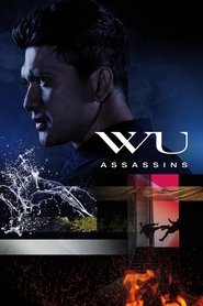 DE - Wu Assassins (2019)