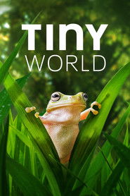 EN - Tiny World (2020)