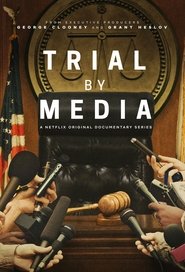 DE - Gerichtsverfahren in den Medien
