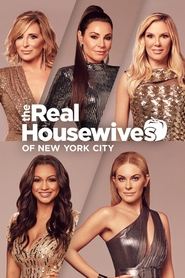 EN - The Real Housewives Of New York City (2008) S01 E00
