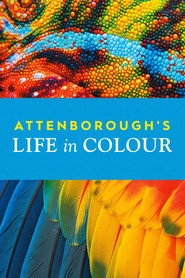 [SE] Attenborough's Life in Colour