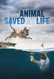 EN - An Animal