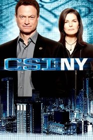 DE - CSI: NY (2004)