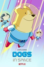EN - Dogs in